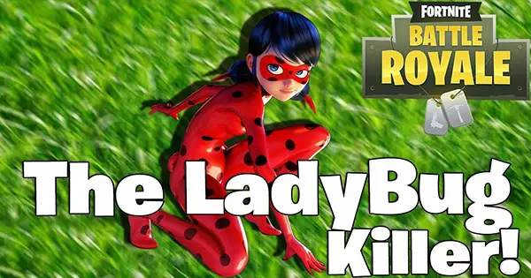 Everyone Is A Combo Of Miraculous Ladybug And Fortnite Character. Which Two Are You?